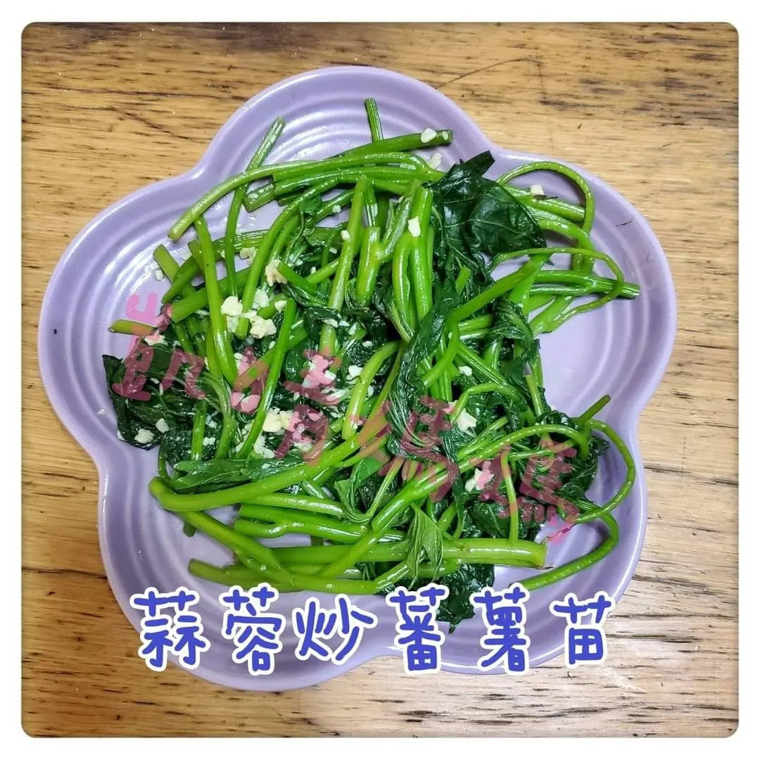 46) 💞是日菜單 version 1：蕃薯苗💞