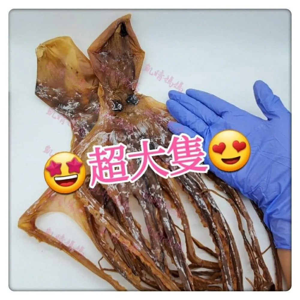 49）💞藥食同源 version 19：章魚⁉️💞
