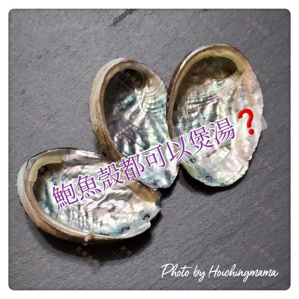 76) 💞藥食同源 version 29：鮑魚殼都可以煲湯❓💞