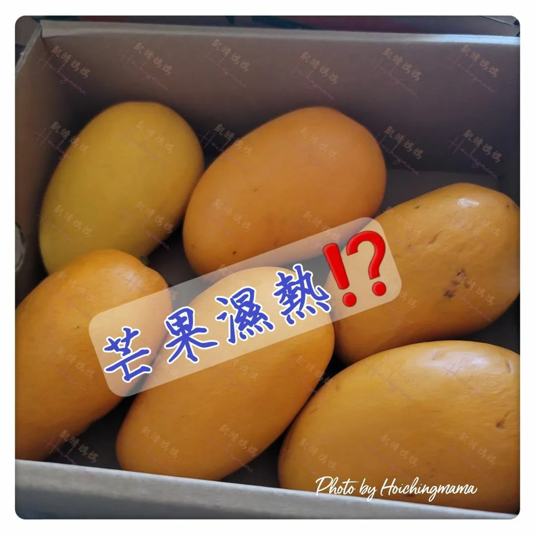 107）💞藥食同源 version 34~ 芒果濕熱⁉️ 💞