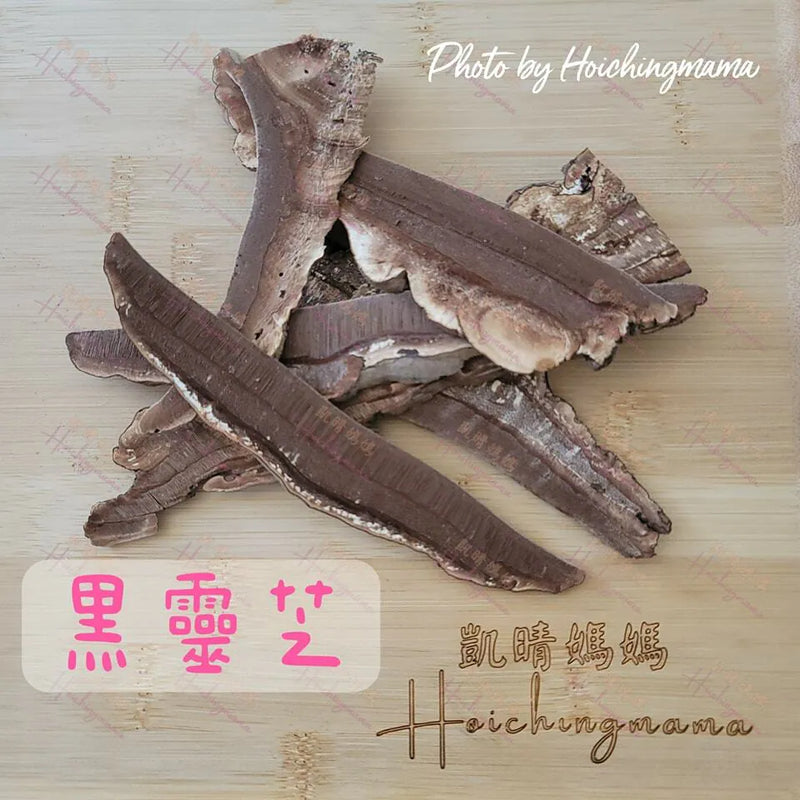 139）💞藥食同源 version 41~ 靈芝 💞