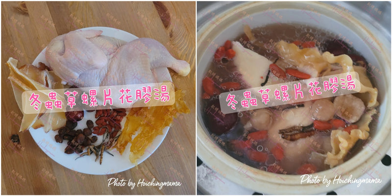141）💞是日湯水 version 35：冬蟲草螺片花膠湯💞