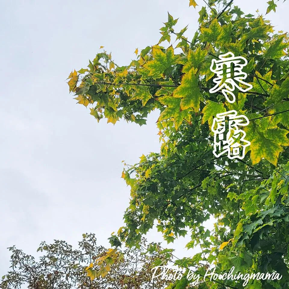 146）💞養生話你知 version 18：24節氣之寒露❗💞