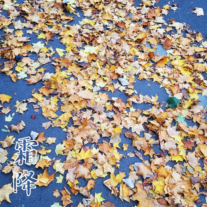 152）💞養生話你知 version 19：24節氣之霜降❗💞