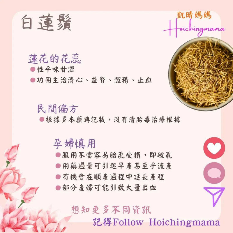 172）💞懷孕那件事 version 40：白蓮鬚❗💞