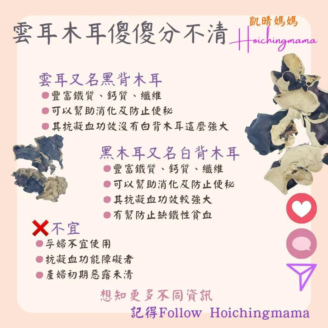 180）💞藥食同源 version 45~ 雲耳木耳傻傻分不清 💞