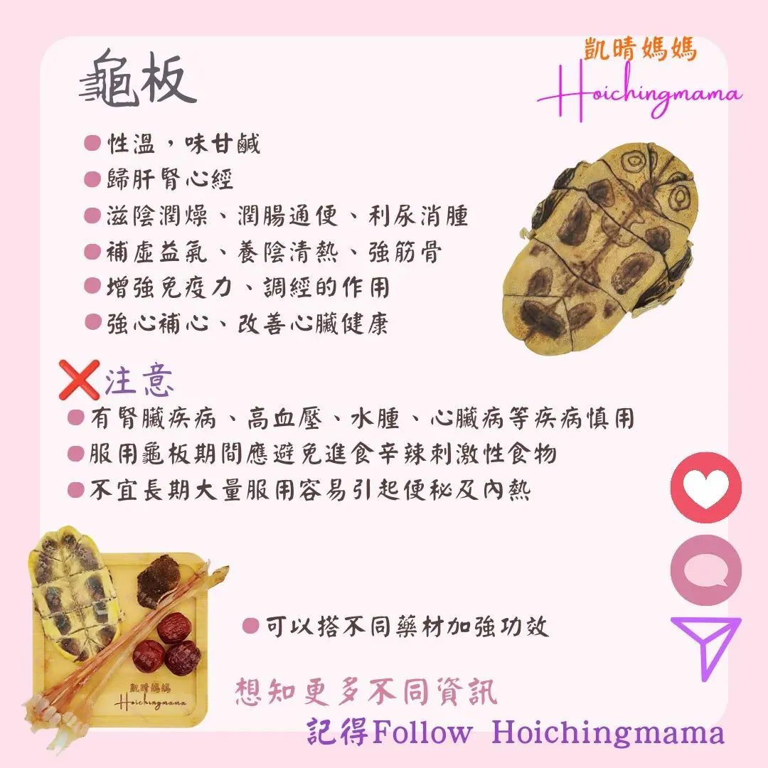188）💞藥食同源 version 46~ 龜板💞