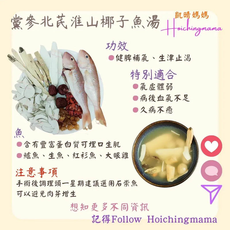 189）💞是日湯水 version 42：黨參北芪淮山椰子魚湯💞