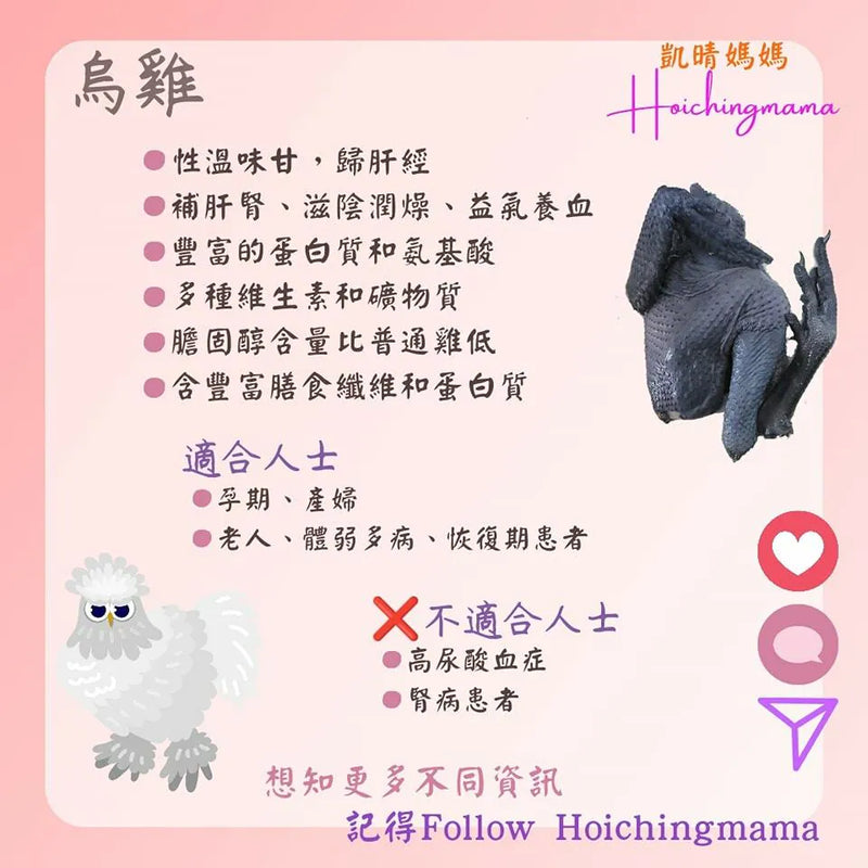 193）💞藥食同源 version 47~ 烏雞💞