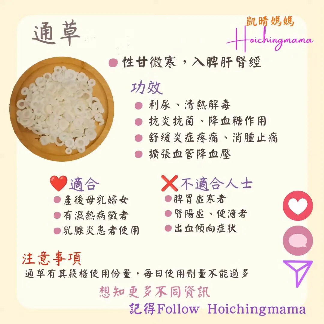 194）💞藥食同源 version 48~ 通草💞