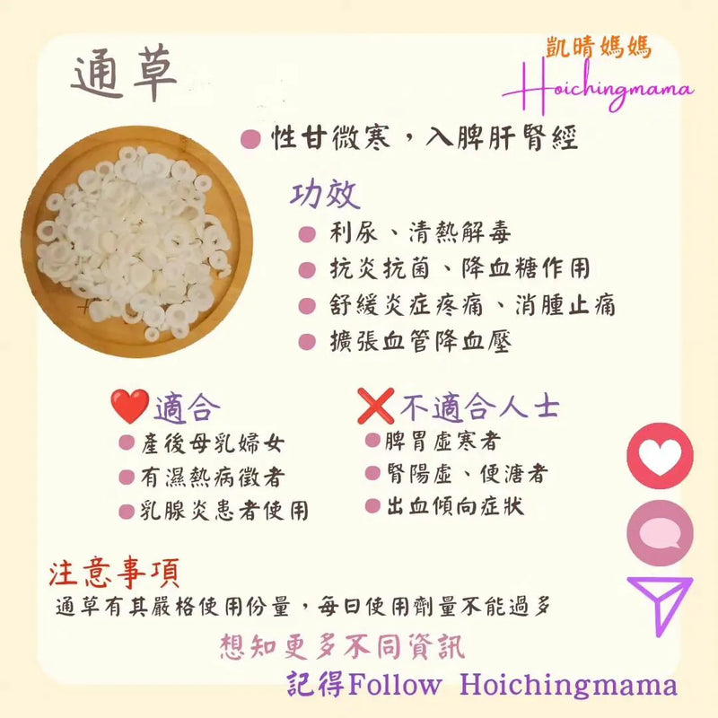 194）💞藥食同源 version 48~ 通草💞
