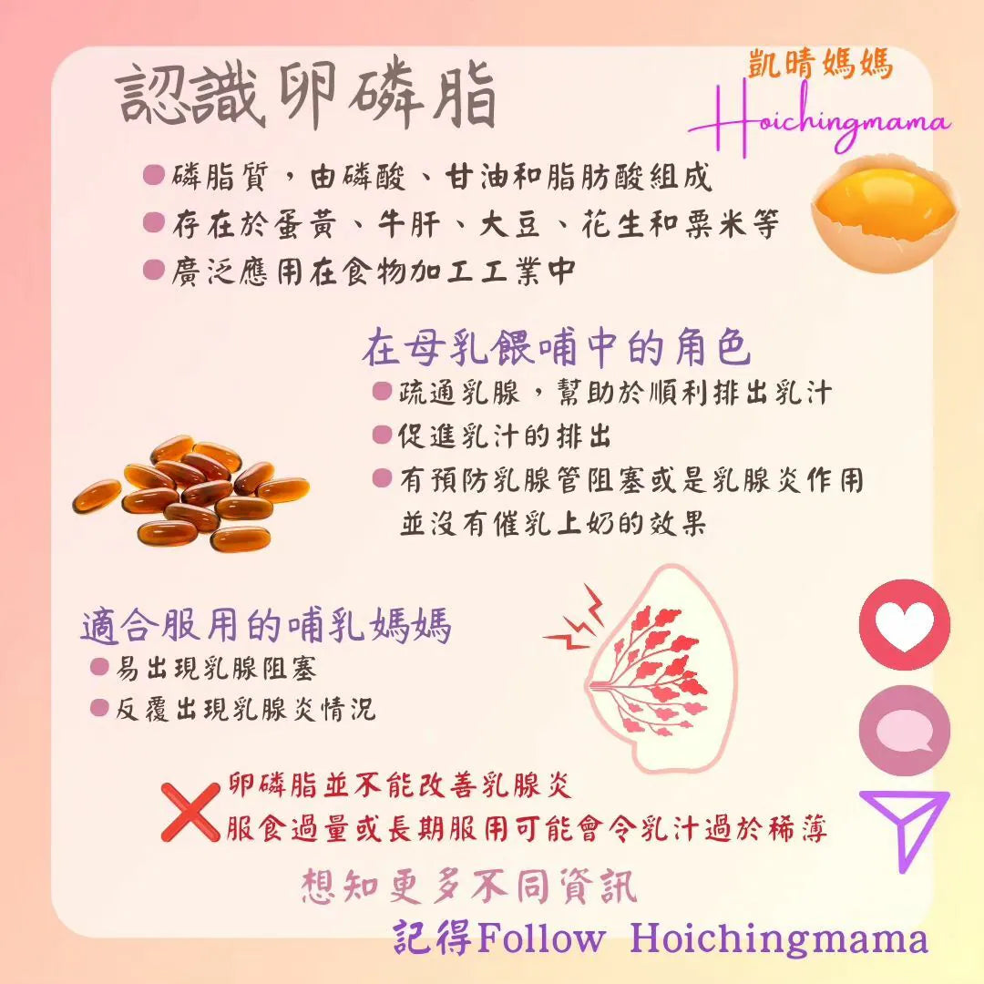 206）💞懷孕那件事 version 48~認識卵磷脂💞