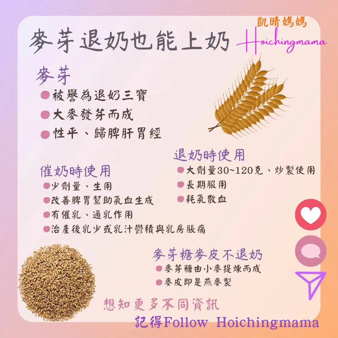 210）💞懷孕那件事 version 51~麥芽退奶也能上奶💞