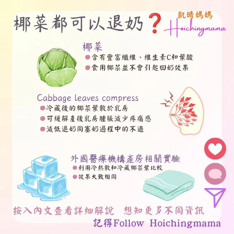 213）💞懷孕那件事 version 53~椰菜都可以退奶❓💞