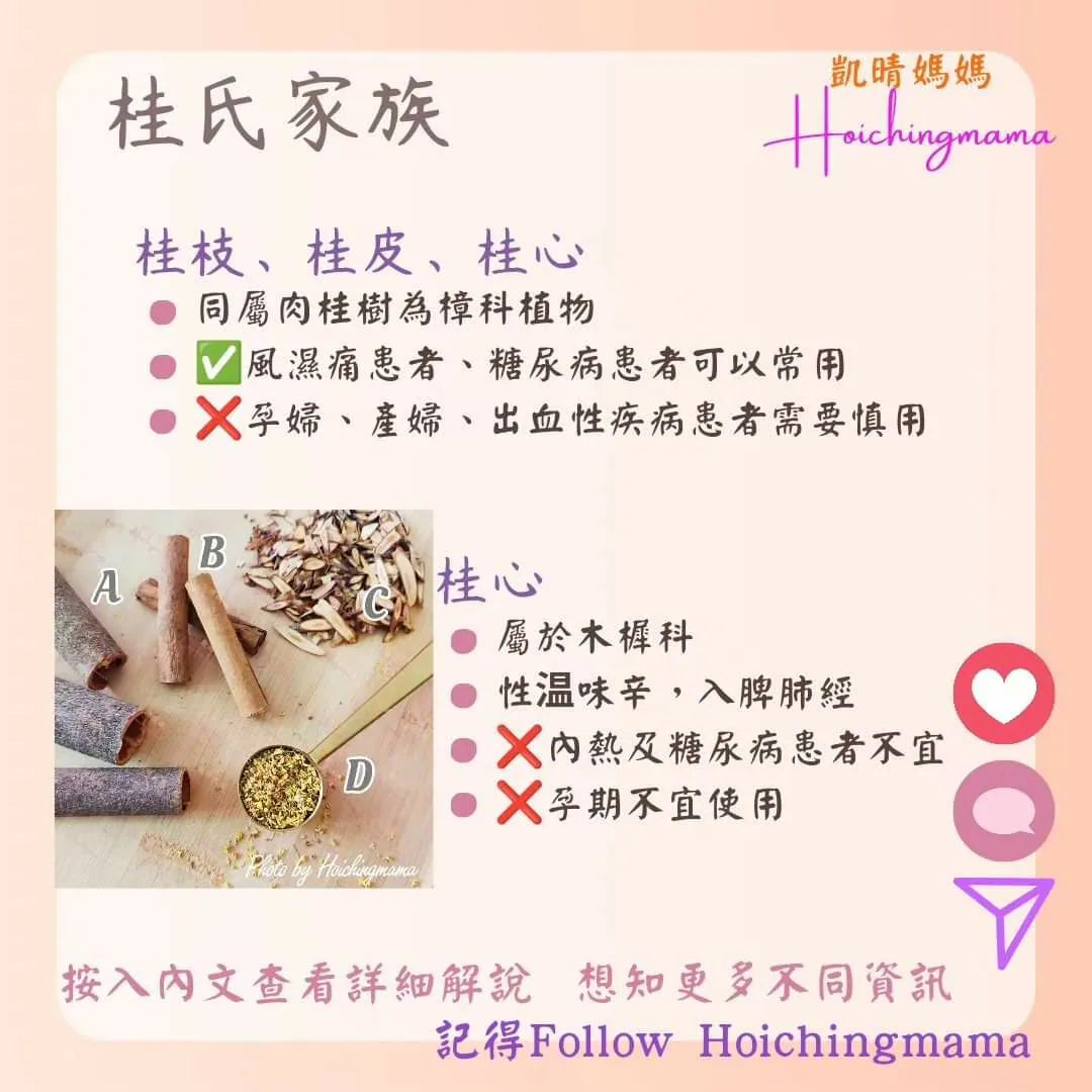 238）💞藥食同源 version 51~ 桂氏家族💞