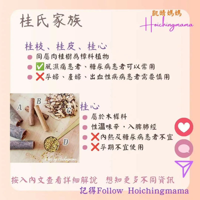 238）💞藥食同源 version 51~ 桂氏家族💞