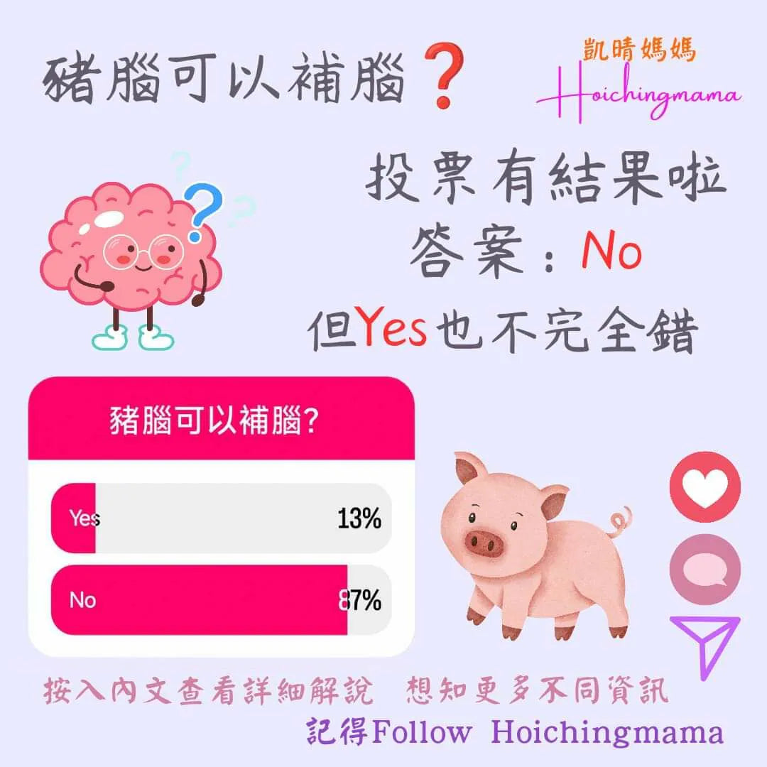 250）今期主題 🌟“豬腦可以補腦？”🌟