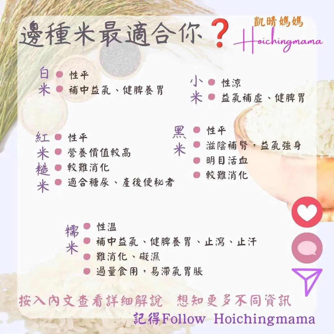 257）💞懷孕那件事 version 69~邊種米最適合你❓ 💞