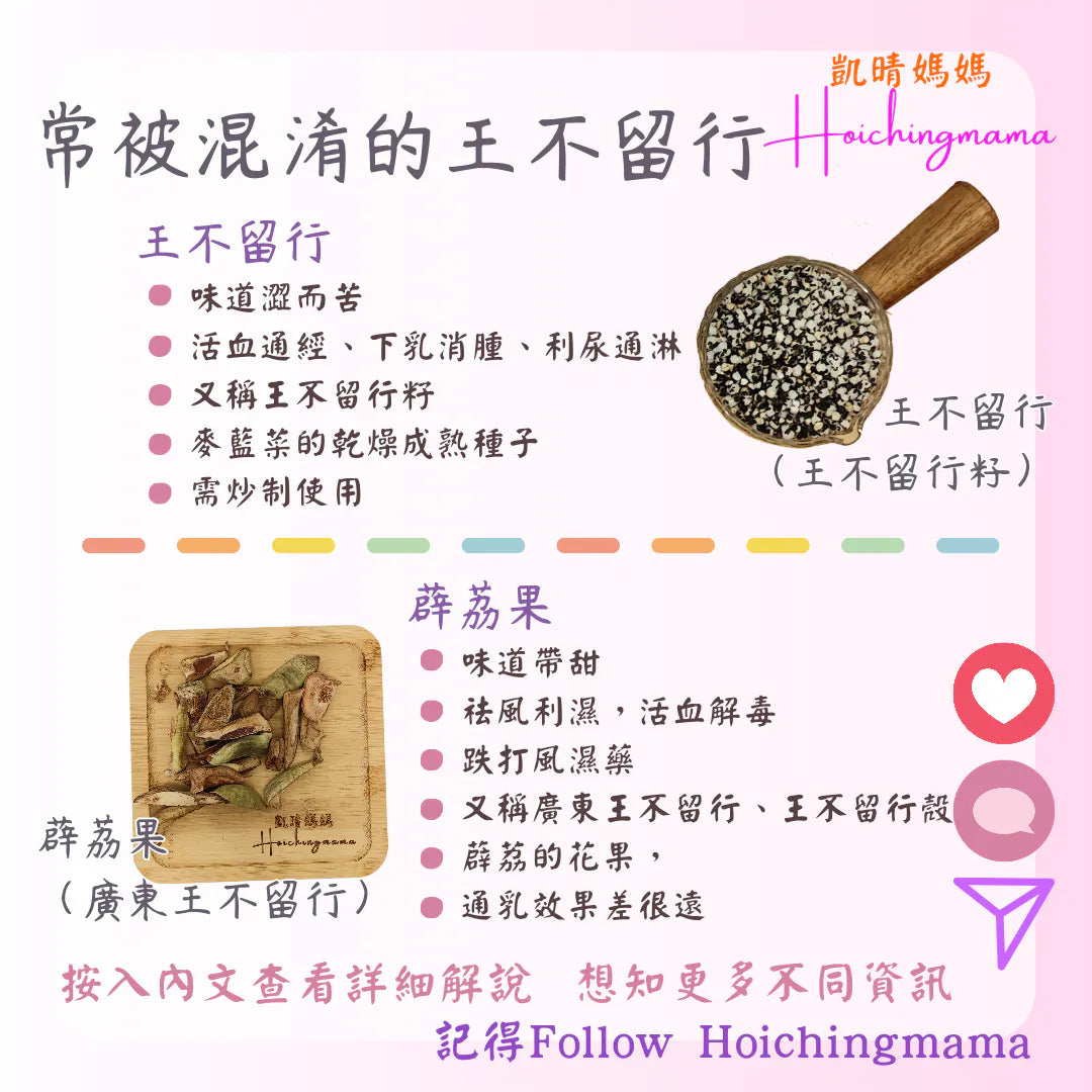 290）💞懷孕那件事 version 73~常被混淆的王不留行 💞
