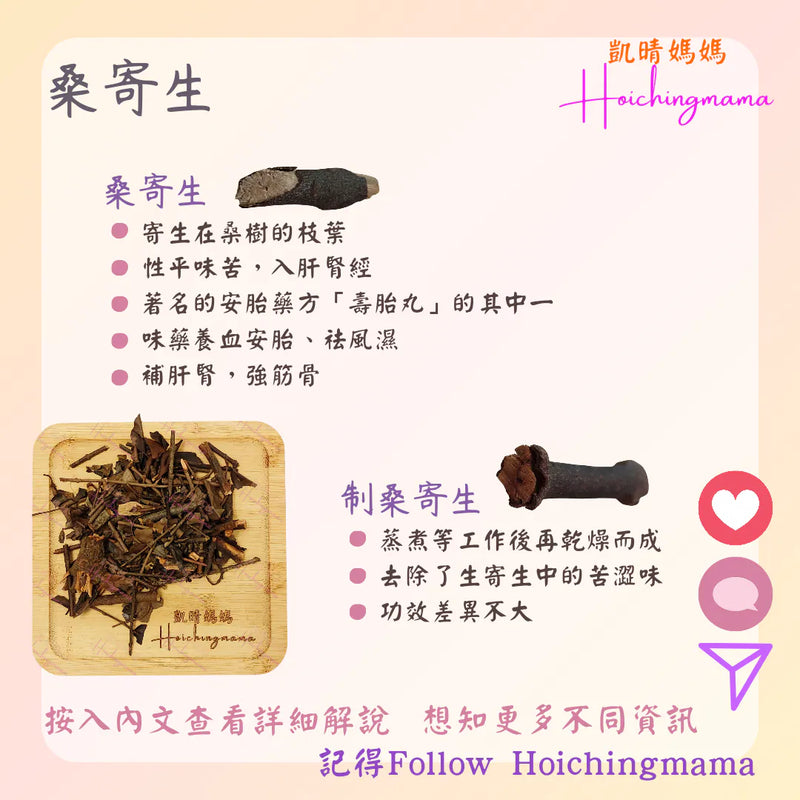 304）💞藥食同源 version 66：桑寄生 💞