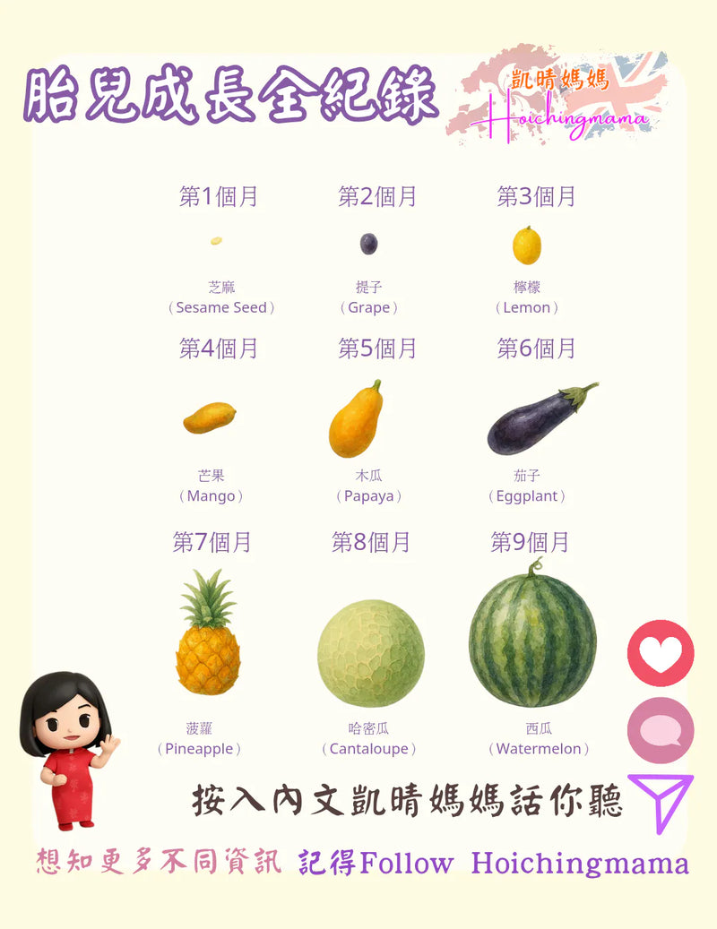 352）👶🏻【胎兒成長全紀錄｜由芝麻仔變西瓜！BB喺肚入面嘅奇妙旅程】