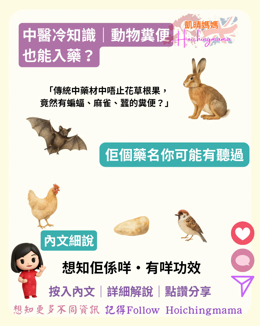 358）🧠【中醫冷知識｜動物糞便也能入藥？】