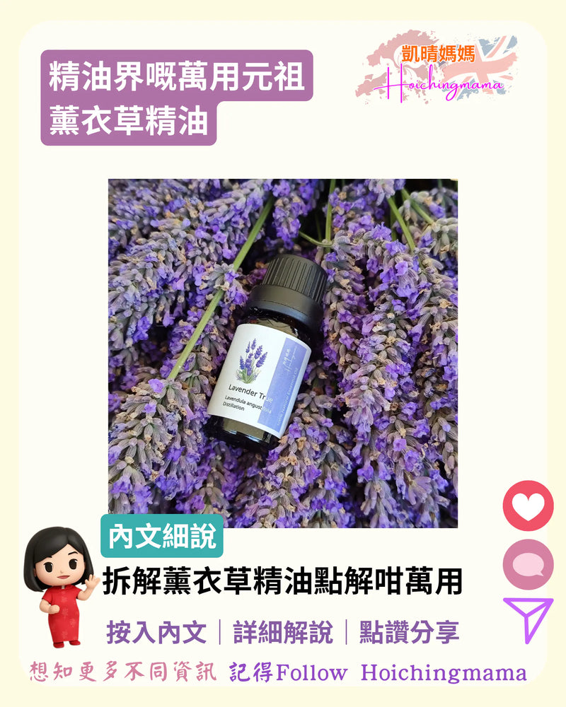 387）🪻【精油界嘅萬用元祖｜薰衣草精油】