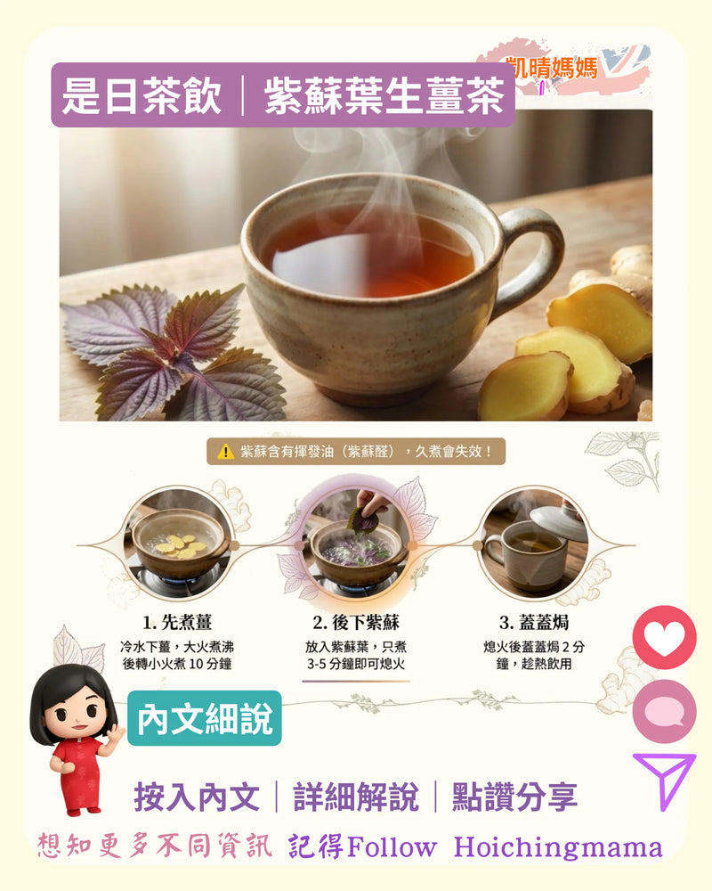 409）🍵【是日茶飲｜紫蘇葉生薑茶】