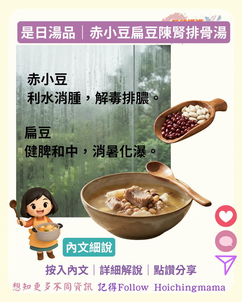 410）🍵【是日湯水｜赤小豆扁豆陳腎排骨湯】