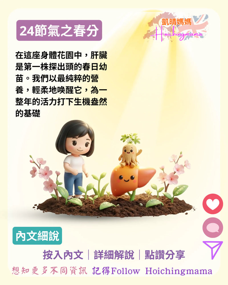 422）【24節氣之小雪】