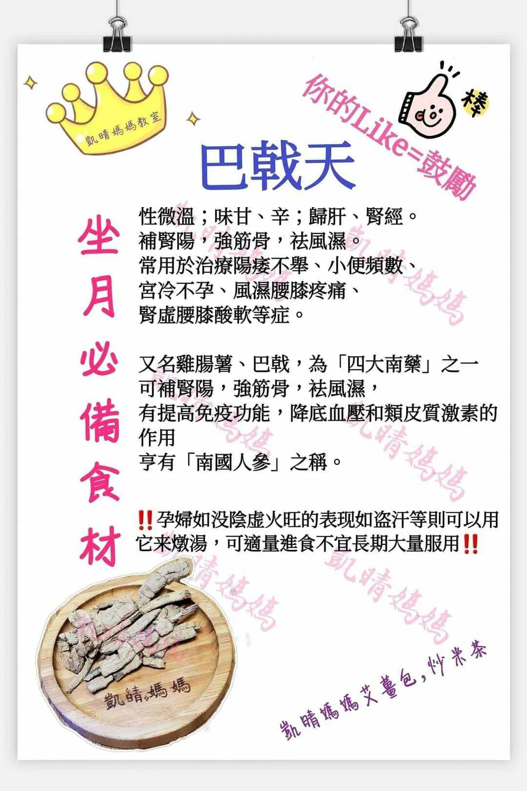 14) 💞藥食同源 version 8：巴戟天💞