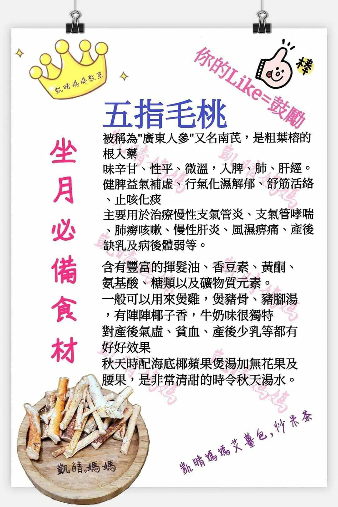 16) 💞藥食同源 version 9：五指毛桃💞