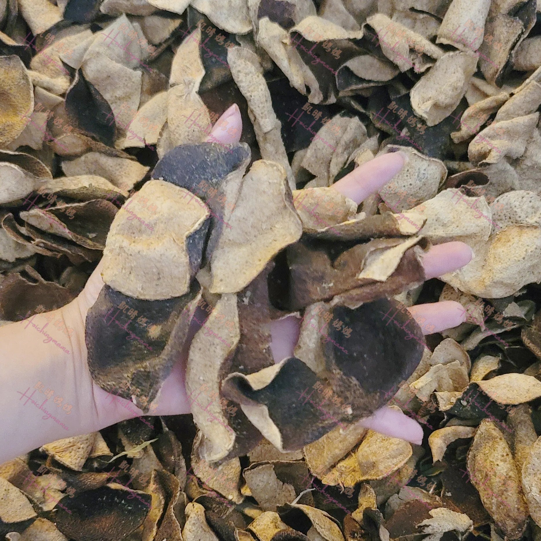 10年新會老陳皮
