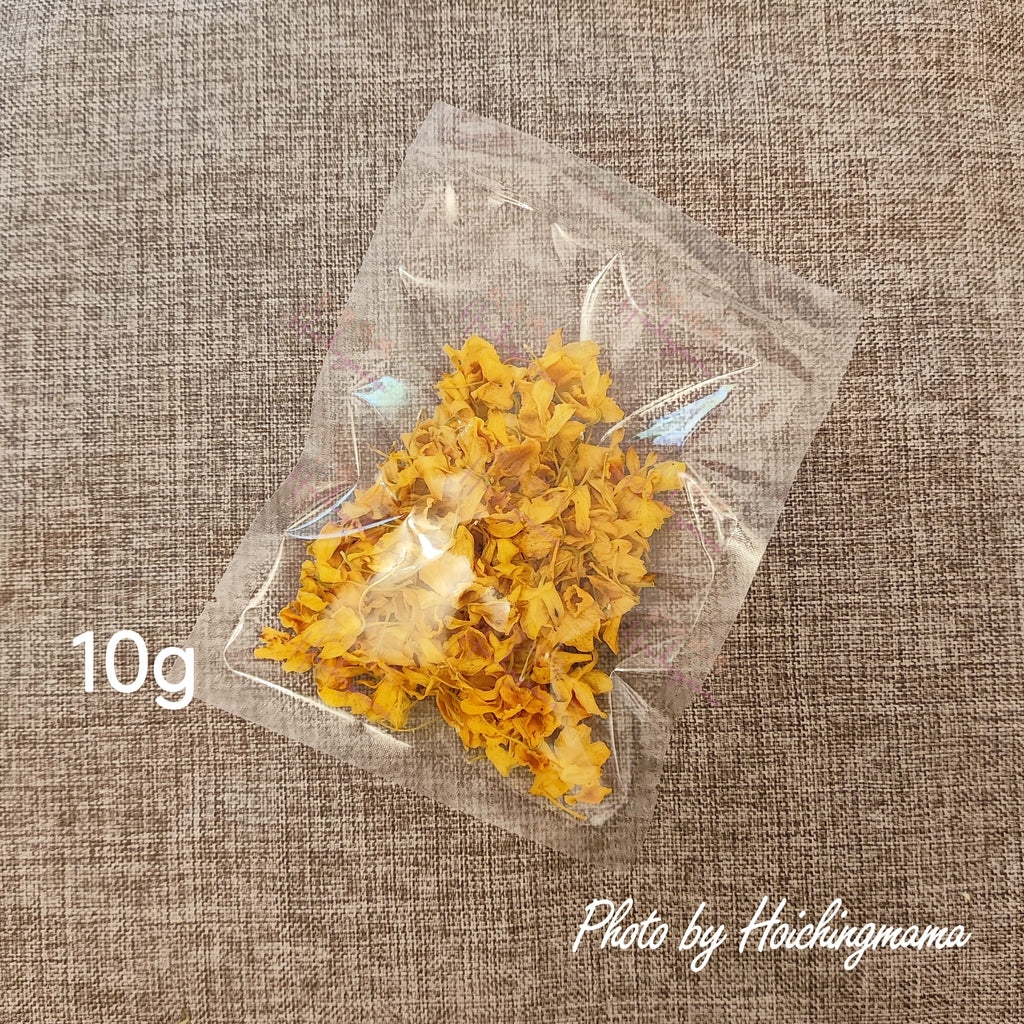 鼓槌石斛花🇬🇧