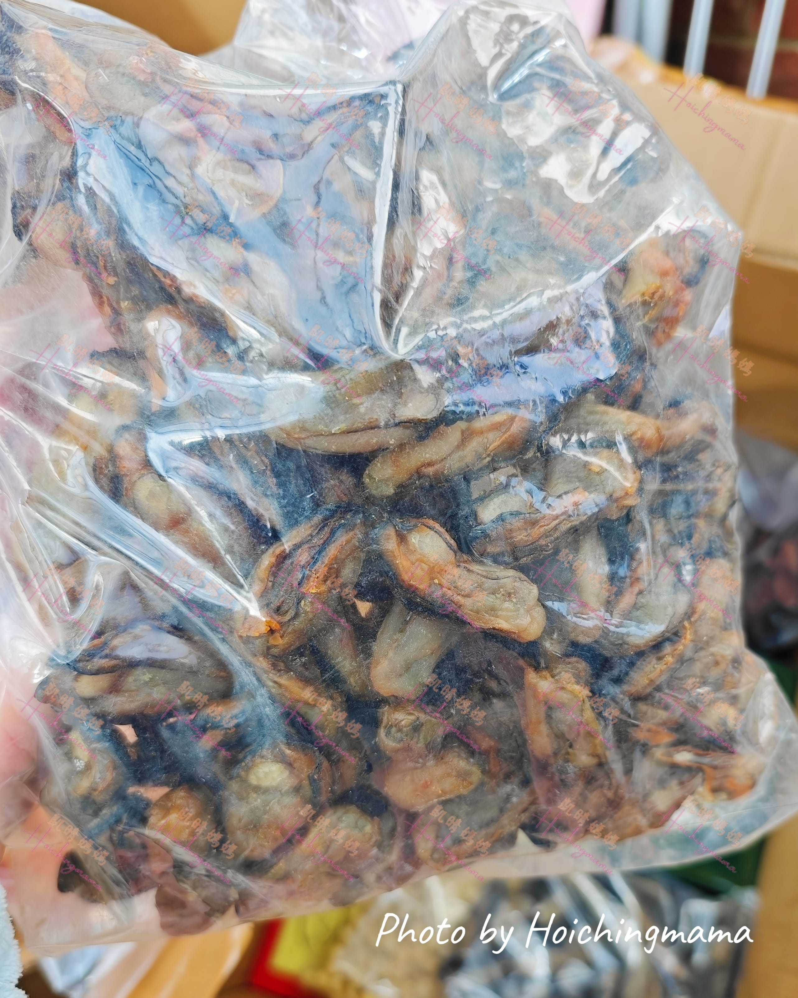 🦪【韓國牡丹蠔豉（L碼）】｜飽滿厚肉・鮮香甘甜