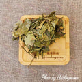 龍利葉